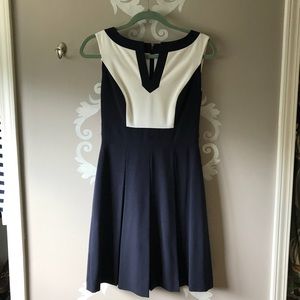 Navy / White Dress